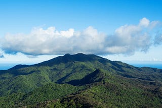 CCfLG to Host 2023 Spring Workshops