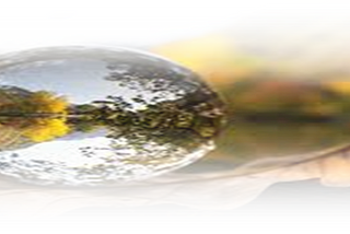 Reflections on Moral Quandaries and Ambiguities