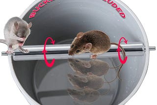 Rolling Log Bucket Mouse Trap for Humane Catch or Kill | Image