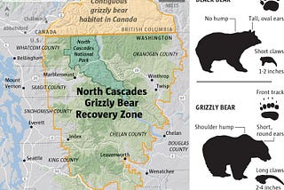 Thinking Citizen Blog —  Grizzlies (ursus arctos horribilis) — Apex Predators — Time To Bring Them…