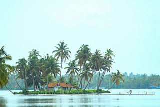 A house on an island in the Kerala backwaters, surrounded by coconut trees, with a fisherman casting his net