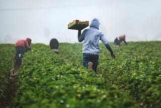 We Need Farmers