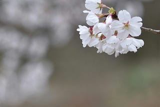 A Time for Renewal and Hope...