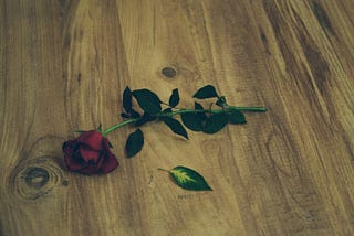 Red roses scattered on floor representing heartbreak, toxic relationships, and healing journey