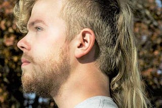 13 ways of looking at The Mullet