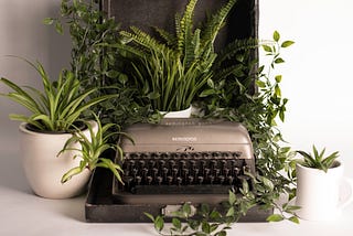 How I’ve Overcome My Writer’s Block