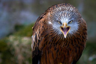 Anger