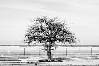 Natural vs Synthetic, Organic vs Nonorganic?