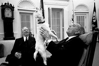 7 Weird Presidential Photos I like to show to people who aren't History Nerds