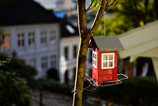 My dream house
