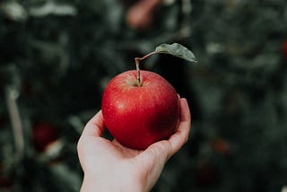 An apple held out in a hand