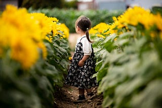 child in a garden of sunflowers
