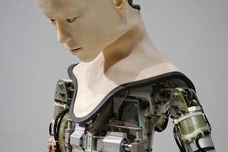 Humanoid Robot