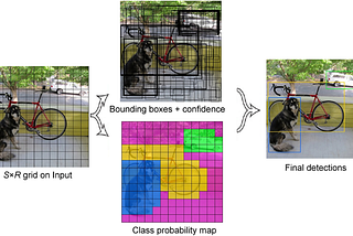 YOLO: AI Detection in the Blink of an Eye