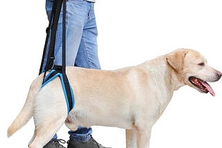doglemi-dog-lift-harness-dogs-back-leg-harness-sling-strap-portable-help-weak-legs-stand-up-support--1