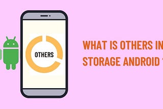 what is other in samsung storage