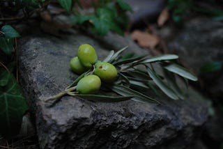 How to Remember God Unconsciously — My Olive Tree Story