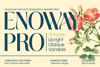 Enoway Pro Font 1