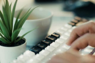 A picture of someone’s hands on a keyboard with a plant.