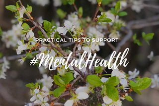 Practical tips to support Mental Health