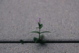 Describe a Time You Felt Resilient