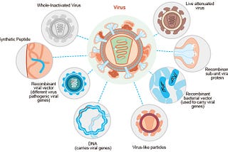 Des virus, des vaccins et des hommes