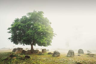 The Plain of Jars