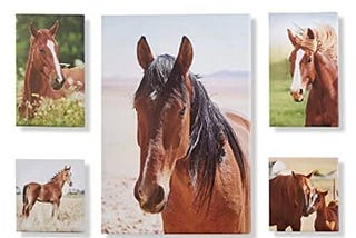giftcraft-lots-of-horses-canvas-collage-set-of-5-1