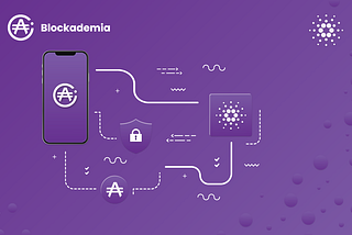 How Blockademia Helps Organizations Prevent Document Fraud