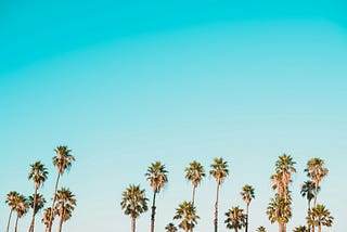 A row of palm trees on a blue sky