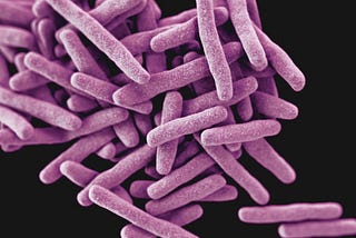 The Rise of Extensively Drug Resistant Tuberculosis