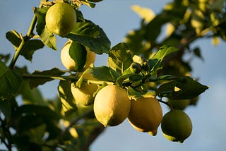 When Life Gives You Lemons… Use Them For Cleaning?