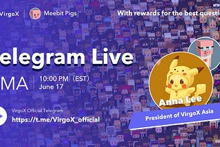 AMA Recap | All you need to know about MeebitPigs and the VirgoX NFT Auctions