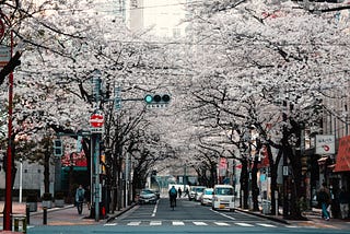 Let plan your trip to Tokyo, using data