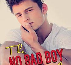 The No Bad Boy Rule | Cover Image