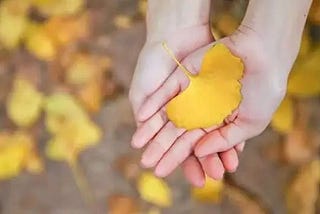 Betrayal: Is It Worth Forgiving?