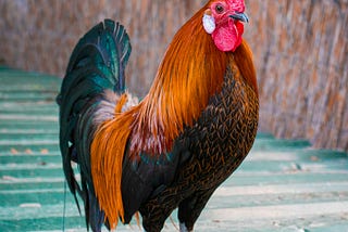 Power doesn’t corrupt — it blinds.