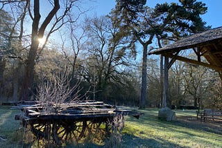 The sun shines brightly through bare trees and against a blue sky. Green grass is beneath an unusable wagon in the foreground.