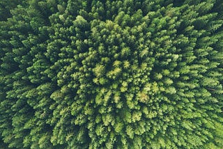 What is ESG and why is it important?