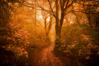 Don’t Be Wise in Your Own Eyes