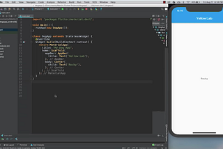 How to Create Stateless Widgets