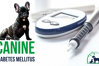 Canine Diabetes: Causes, Symptoms, Diagnosis & Treatment