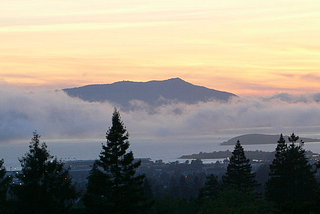 5 Tips for Hiking Mt. Tamalpais in the Summer