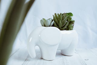 White Elephant: A Fun and Festive Party Game