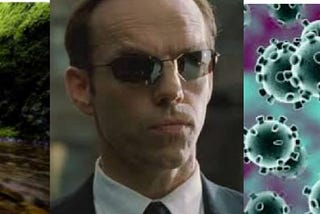 Malthuse, The Matrix, and The Human Virus