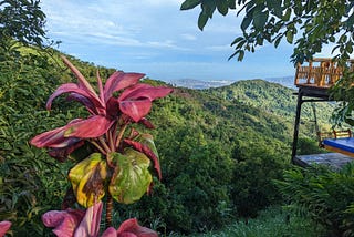 Exploring Colombia