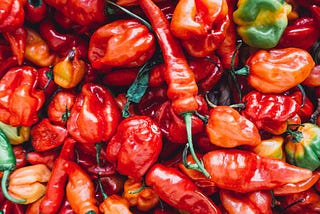 The Gift of Chili Pepper
