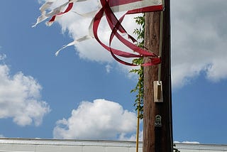 Why I believe the government shutdown was planned.