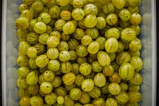 Secret Ayurvedic Gooseberry Shampoo Recipe for Long, Healthy Hair