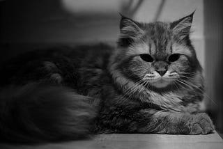 I just thought I was a judgmental person….